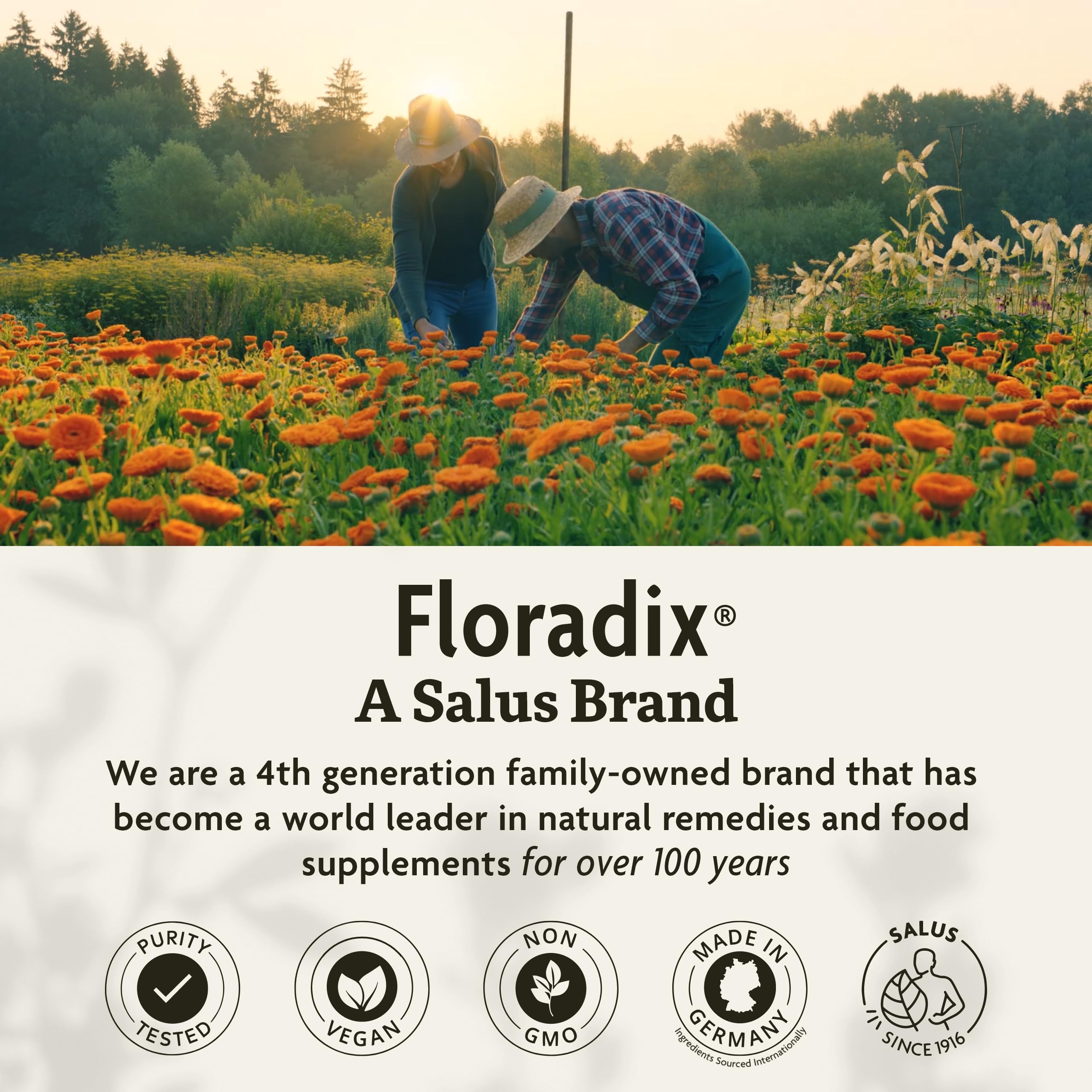 Foto 8 pulgar | Tabletas De Hierro Floradix Energy Support 10 Mg 120 Tabletas - Venta Internacional.