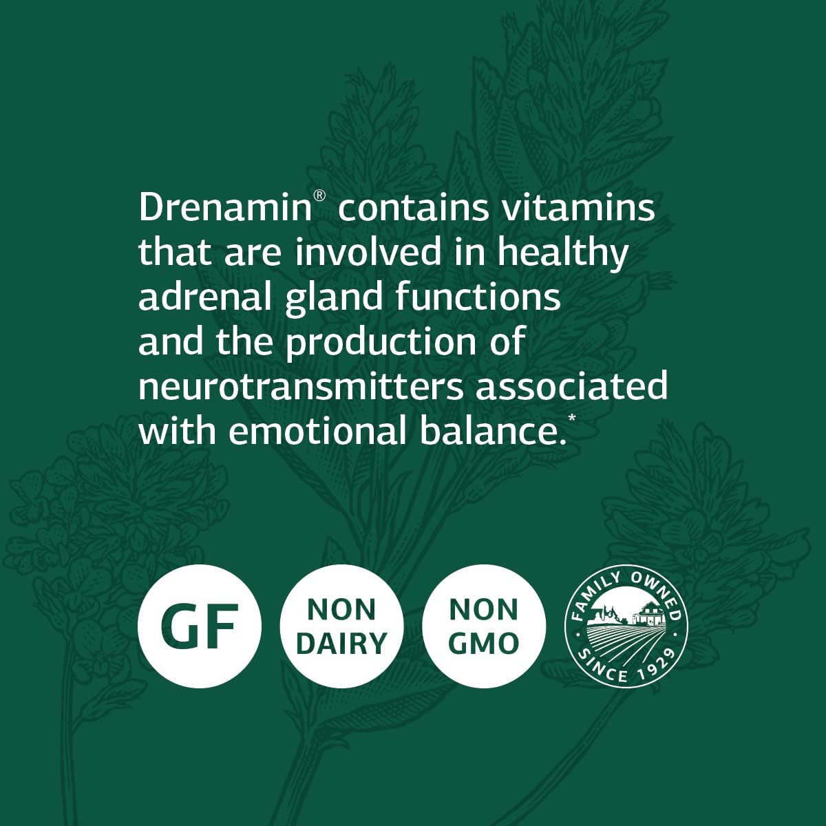 Foto 5 pulgar | Suplemento Standard Process Drenamin 90 Comprimidos - Venta Internacional.