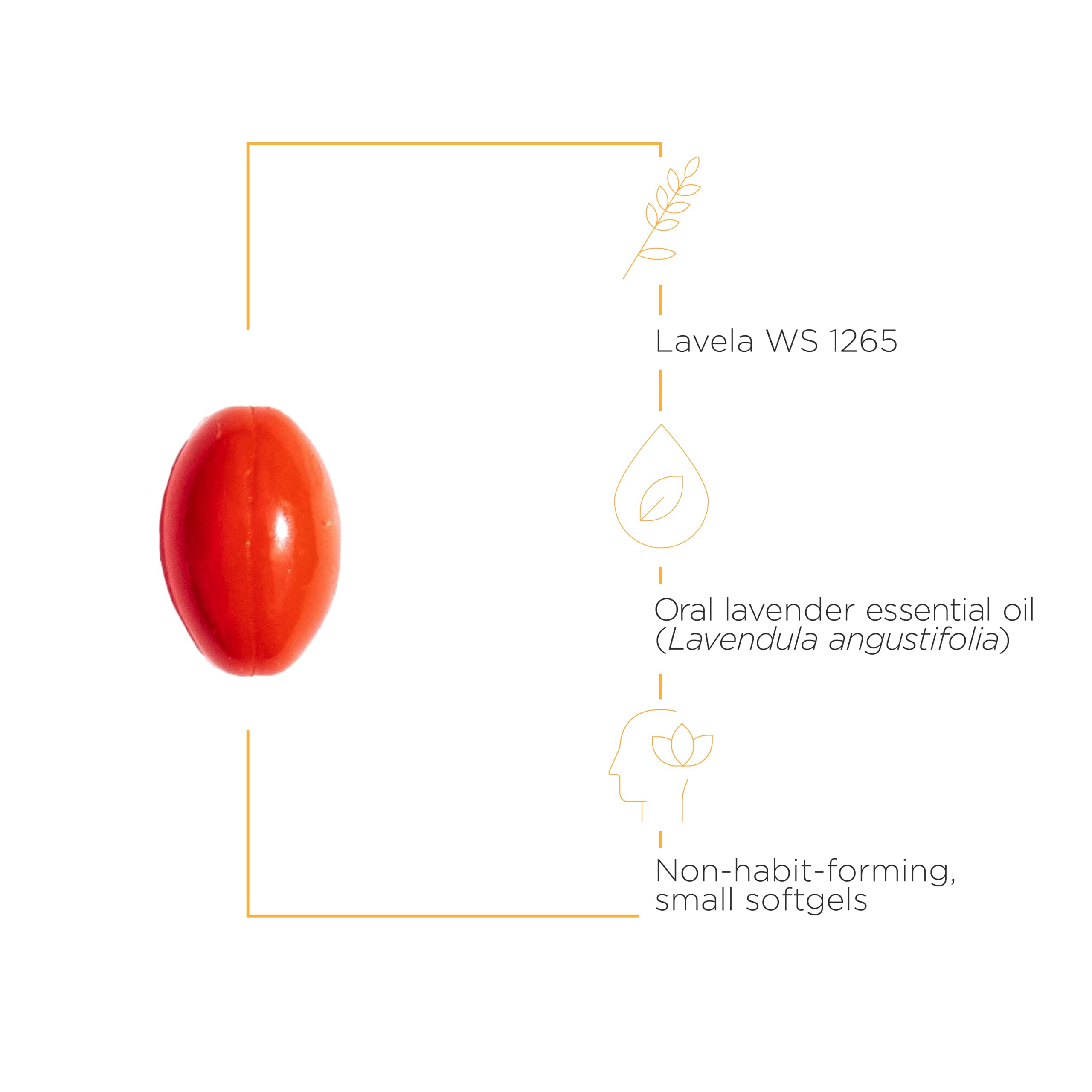 Foto 4 pulgar | Suplemento Terapéutico Integral Lavela Ws 1265 60 Cápsulas Blandas - Venta Internacional.