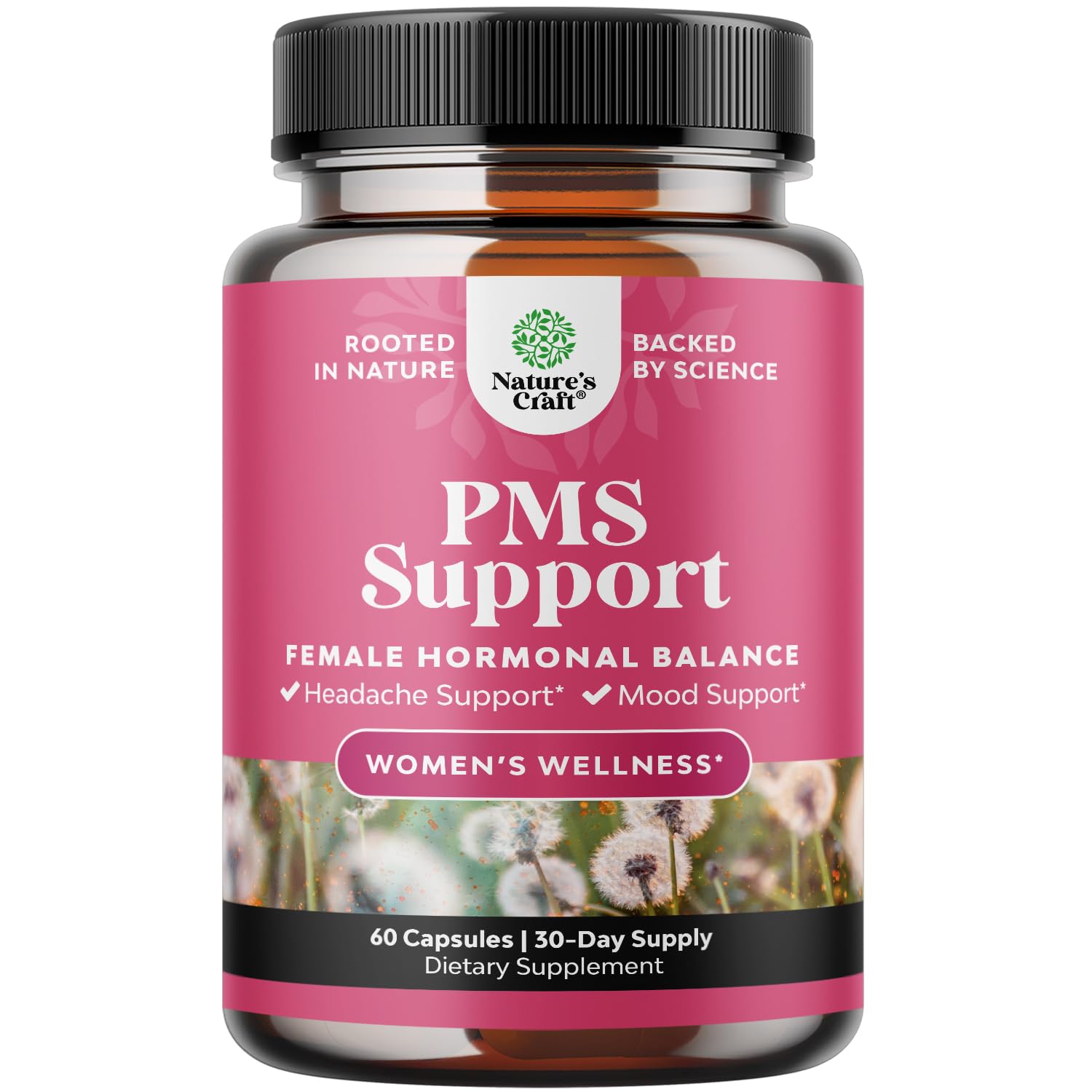 Foto 2 pulgar | Supplement Natures Craft Advanced Pms Support Para Mujeres, 60 Cápsulas - Venta Internacional.