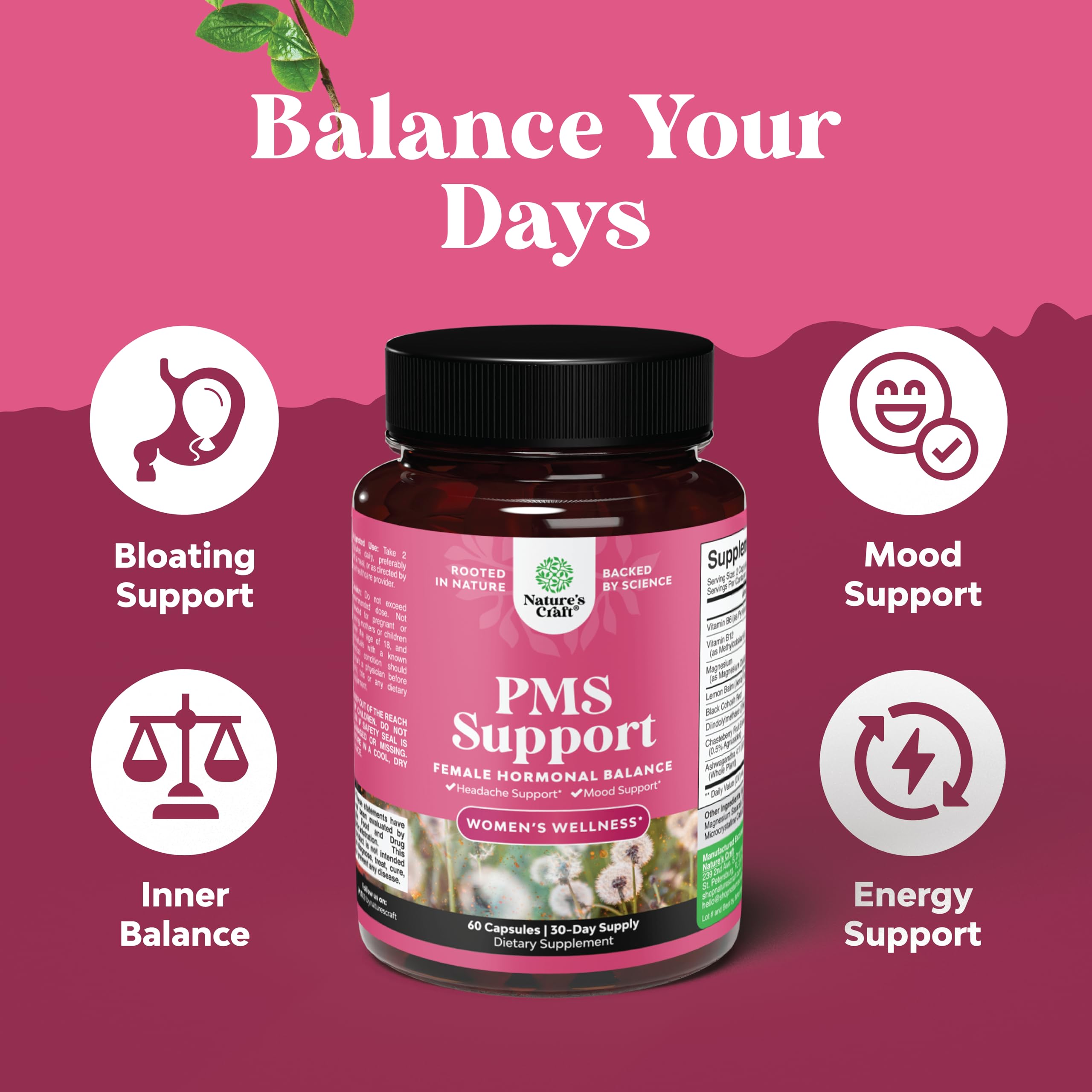 Foto 4 pulgar | Supplement Natures Craft Advanced Pms Support Para Mujeres, 60 Cápsulas - Venta Internacional.