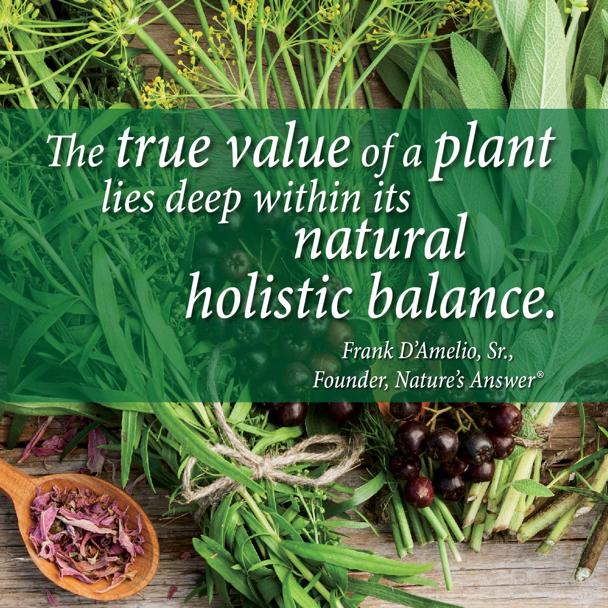 Foto 5 pulgar | Suplemento Nature's Answer Schisandra Berry 30 Ml - Venta Internacional.