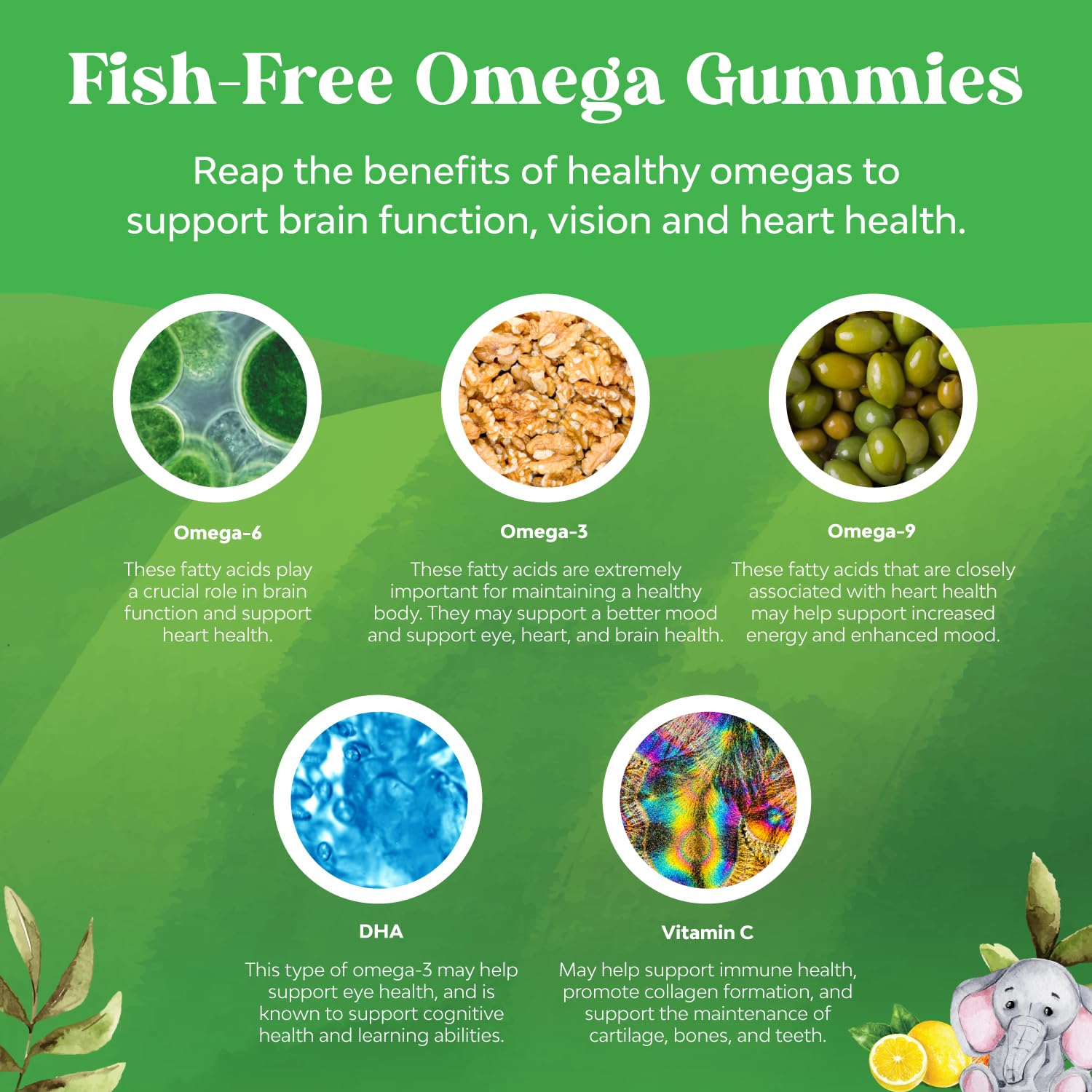 Foto 5 | Suplemento: Gomitas Dha Omega 3 De Natures Craft Kids - Venta Internacional.