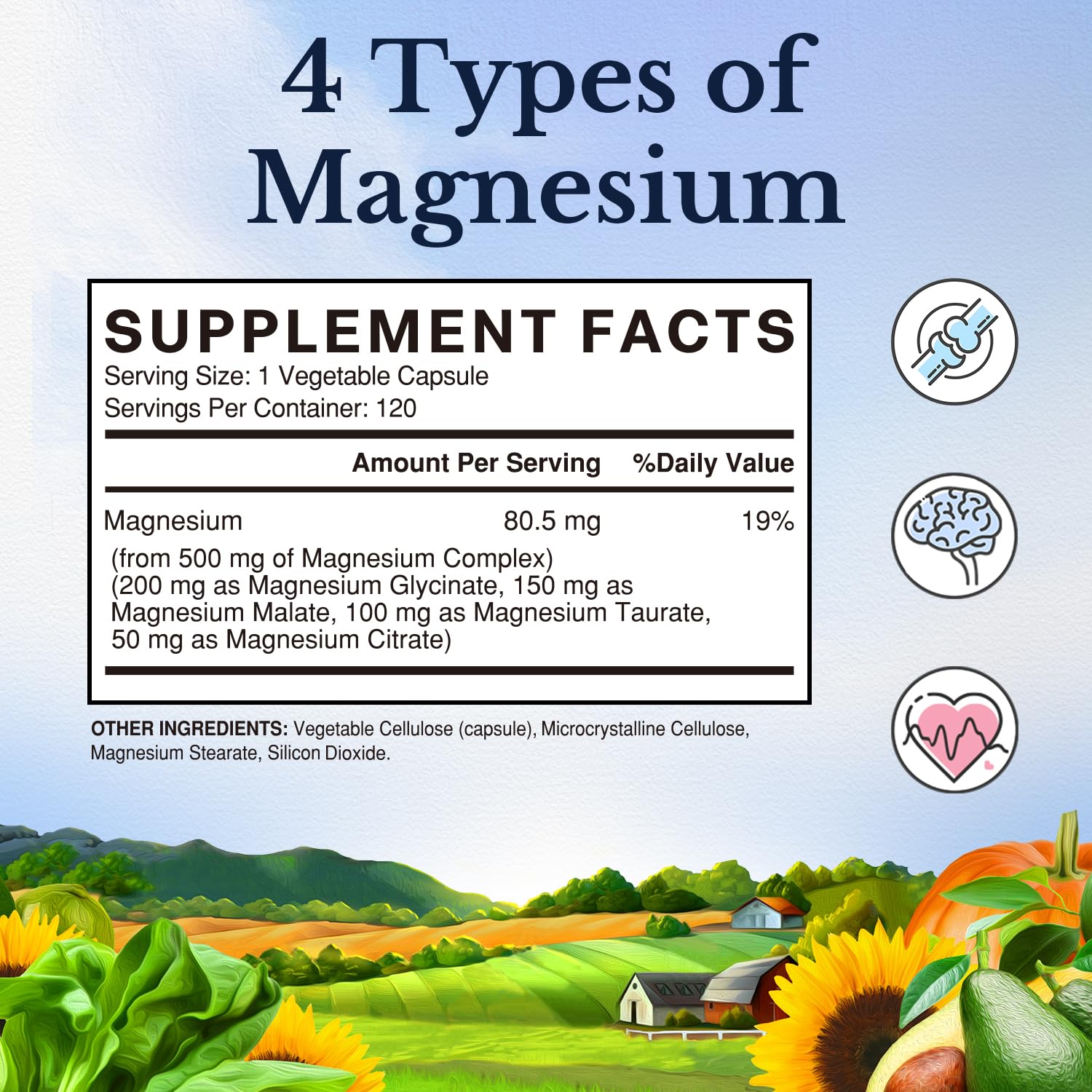 Foto 3 pulgar | Suplemento Vitalitown Magnesium Complex 500 Mg 120 Cápsulas - Venta Internacional.
