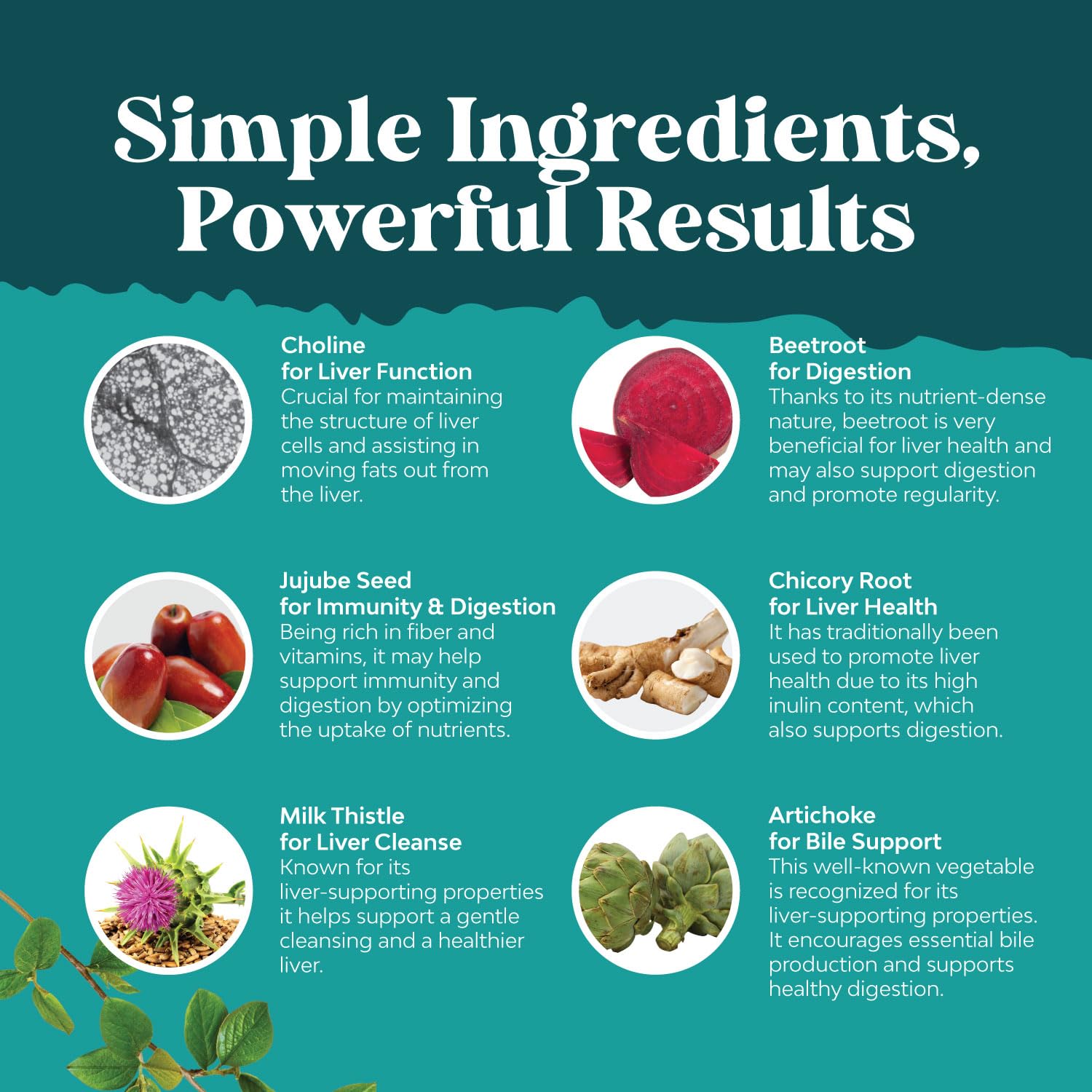 Foto 5 pulgar | Suplemento Natures Craft Liver Cleanse Detox 180 Cápsulas - Venta Internacional.