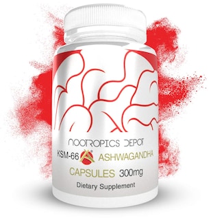 Foto 2 | Suplemento Nootropics Depot Ksm-66 Ashwagandha 300 Mg 90 Cápsulas - Venta Internacional.