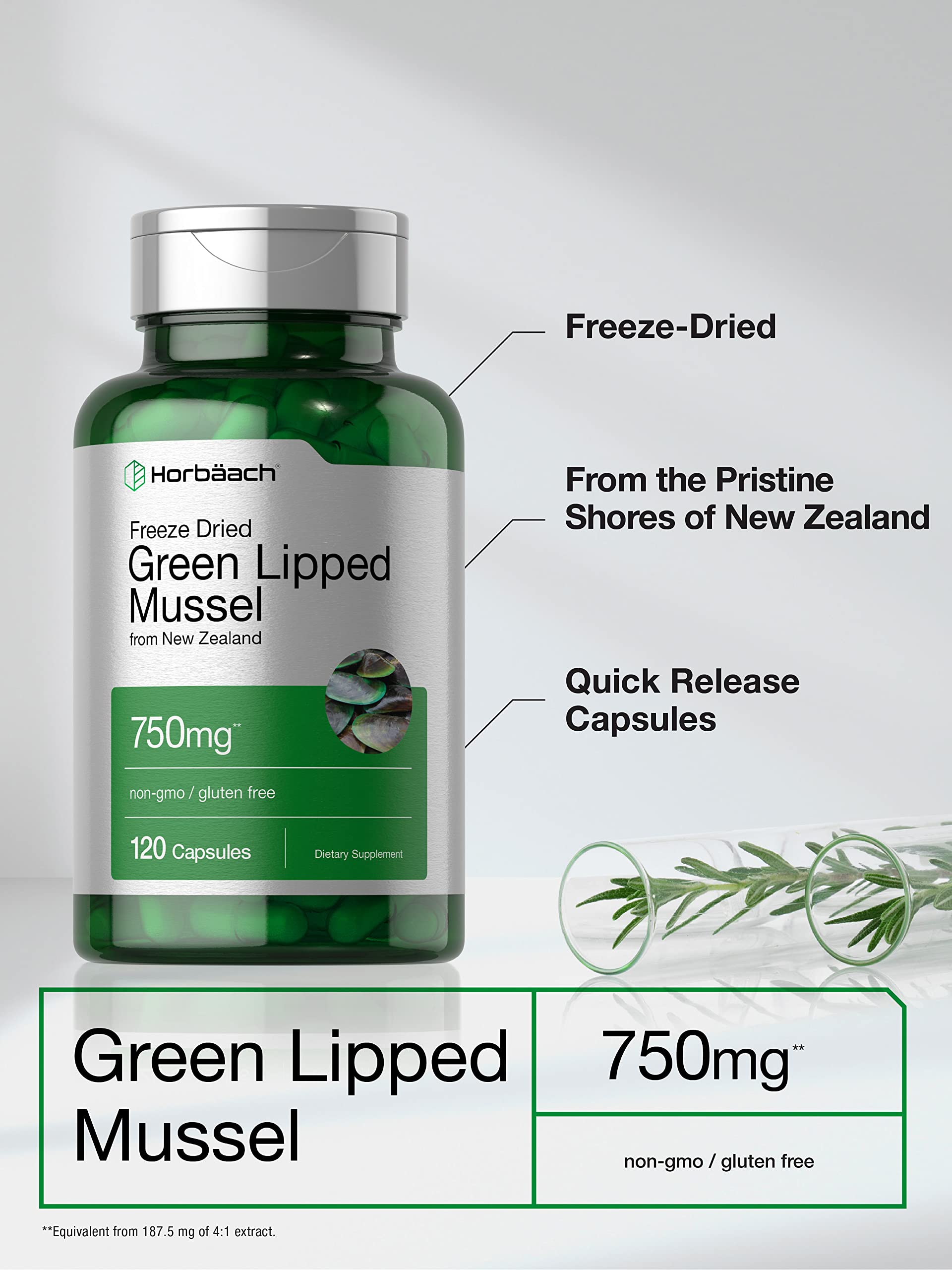 Foto 4 pulgar | Suplemento Horbäach Green Lipped Mussel 750 Mg 120 Cápsulas - Venta Internacional.
