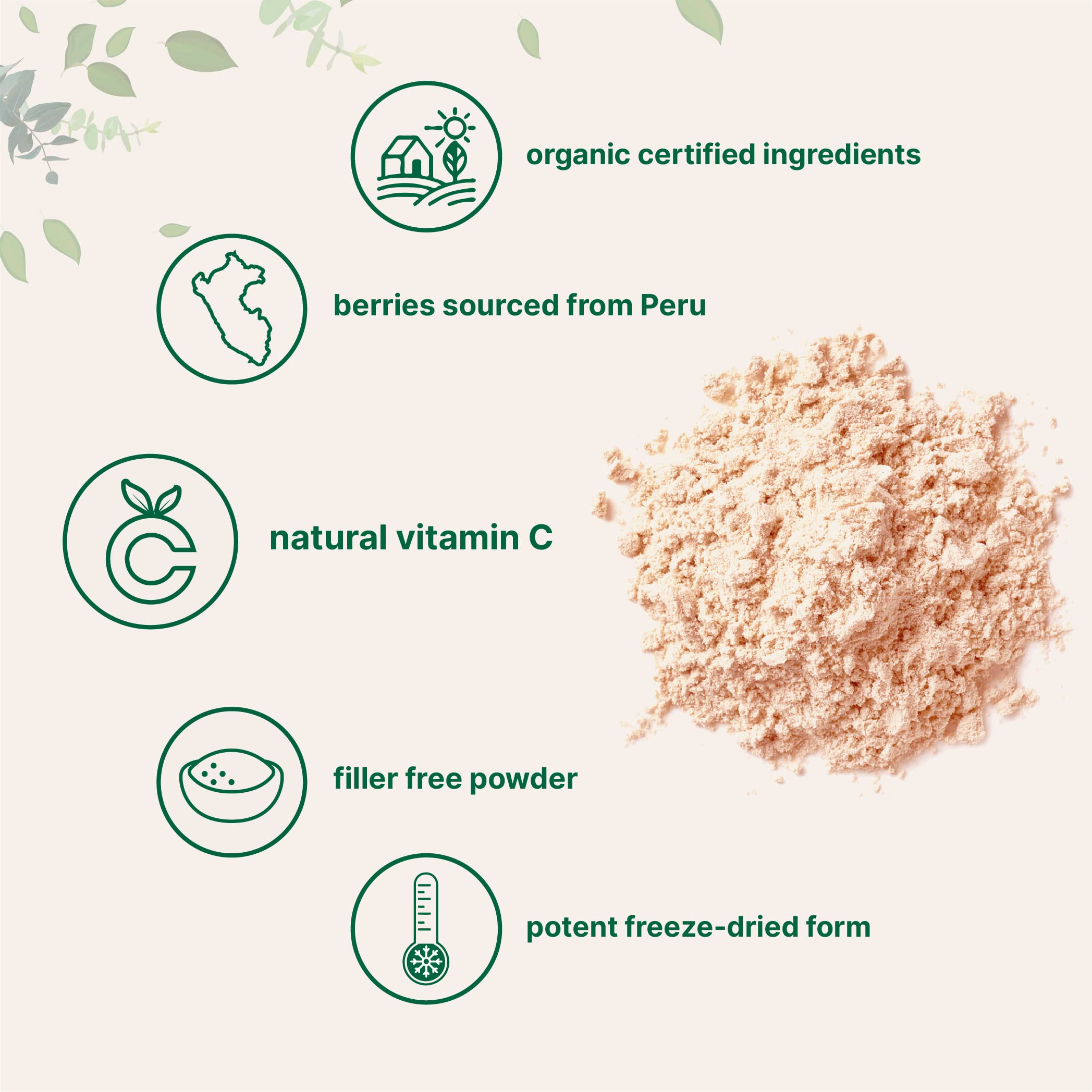 Foto 4 pulgar | Suplemento De Microingredientes En Polvo De Camu Camu Orgánico, 350 Ml - Venta Internacional.