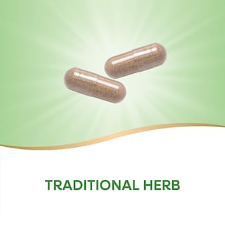 Foto 2 | Suplemento Nature's Way Butcher's Broom Root 100 Cápsulas Veganas - Venta Internacional.