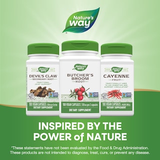 Foto 6 | Suplemento Nature's Way Butcher's Broom Root 100 Cápsulas Veganas - Venta Internacional.