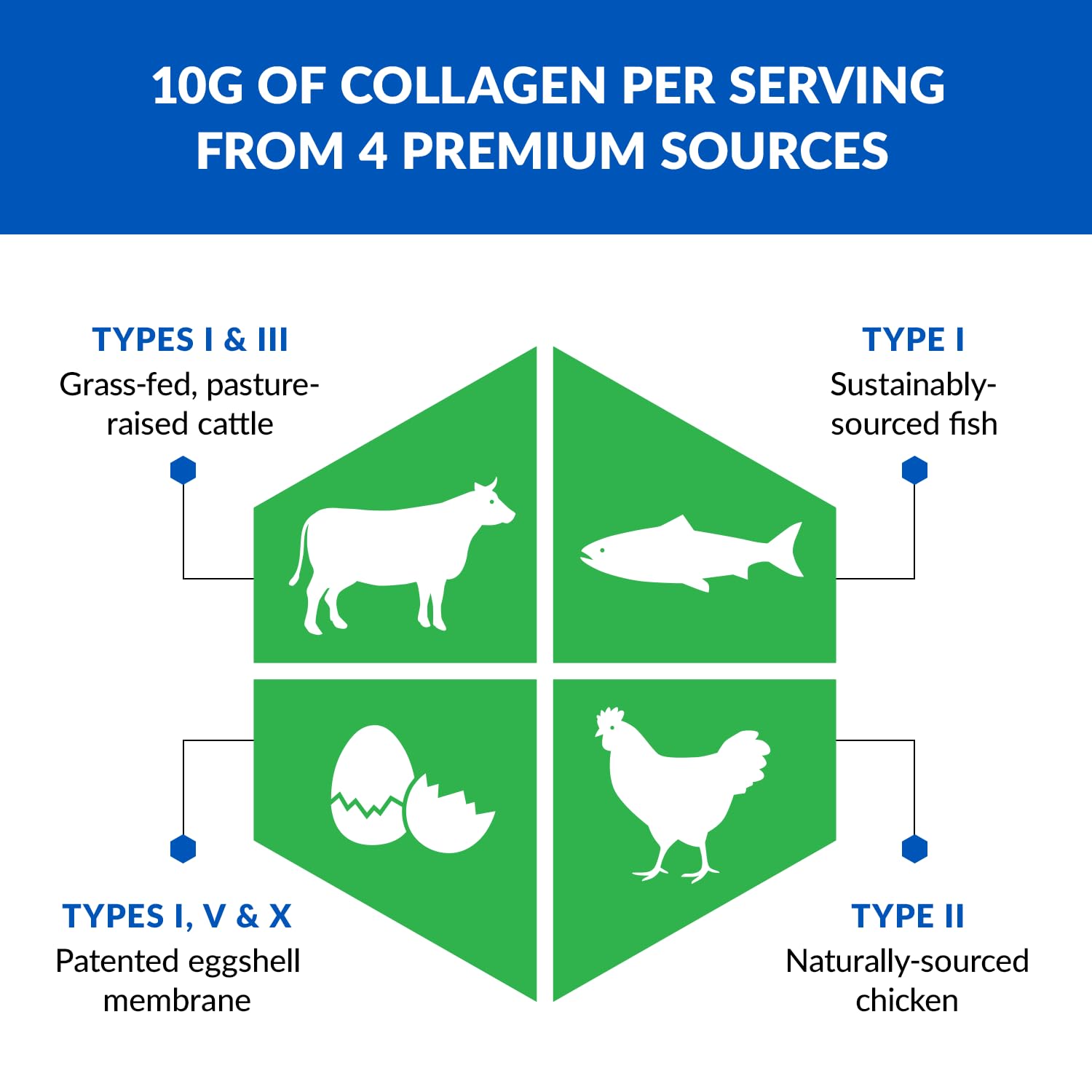 Foto 4 pulgar | Colágeno En Polvo Biotrust Ageless Multi, 5 Tipos, 10 G De Proteína - Venta Internacional.