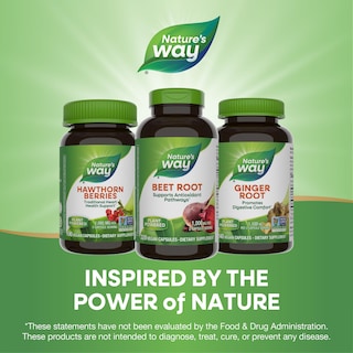 Foto 7 | Suplemento De Raíz De Remolacha De Nature's Way 320 Cápsulas De 1000 Mg - Venta Internacional.