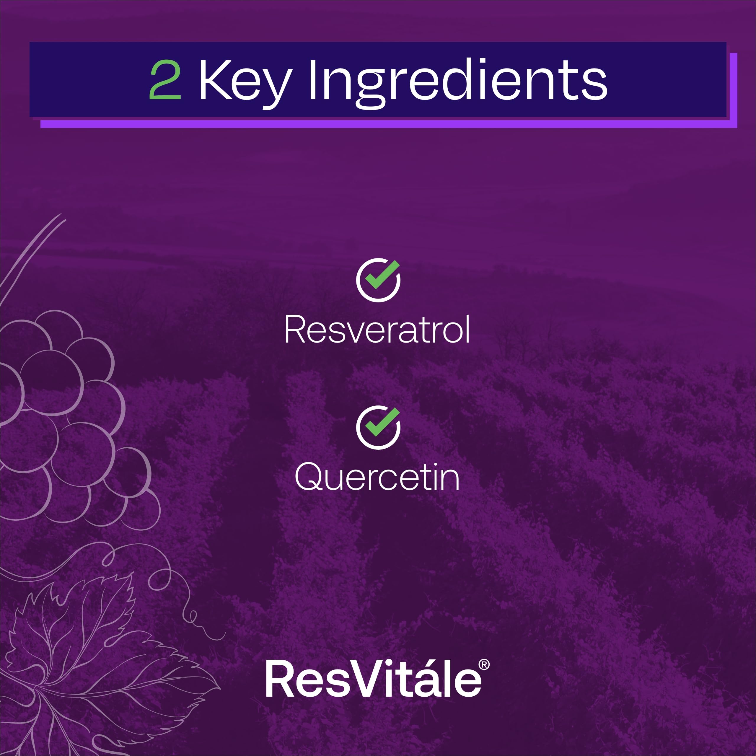 Foto 4 pulgar | Suplemento Resvitále Resveratrol 500 Mg Para Hombres Y Mujeres - Venta Internacional.