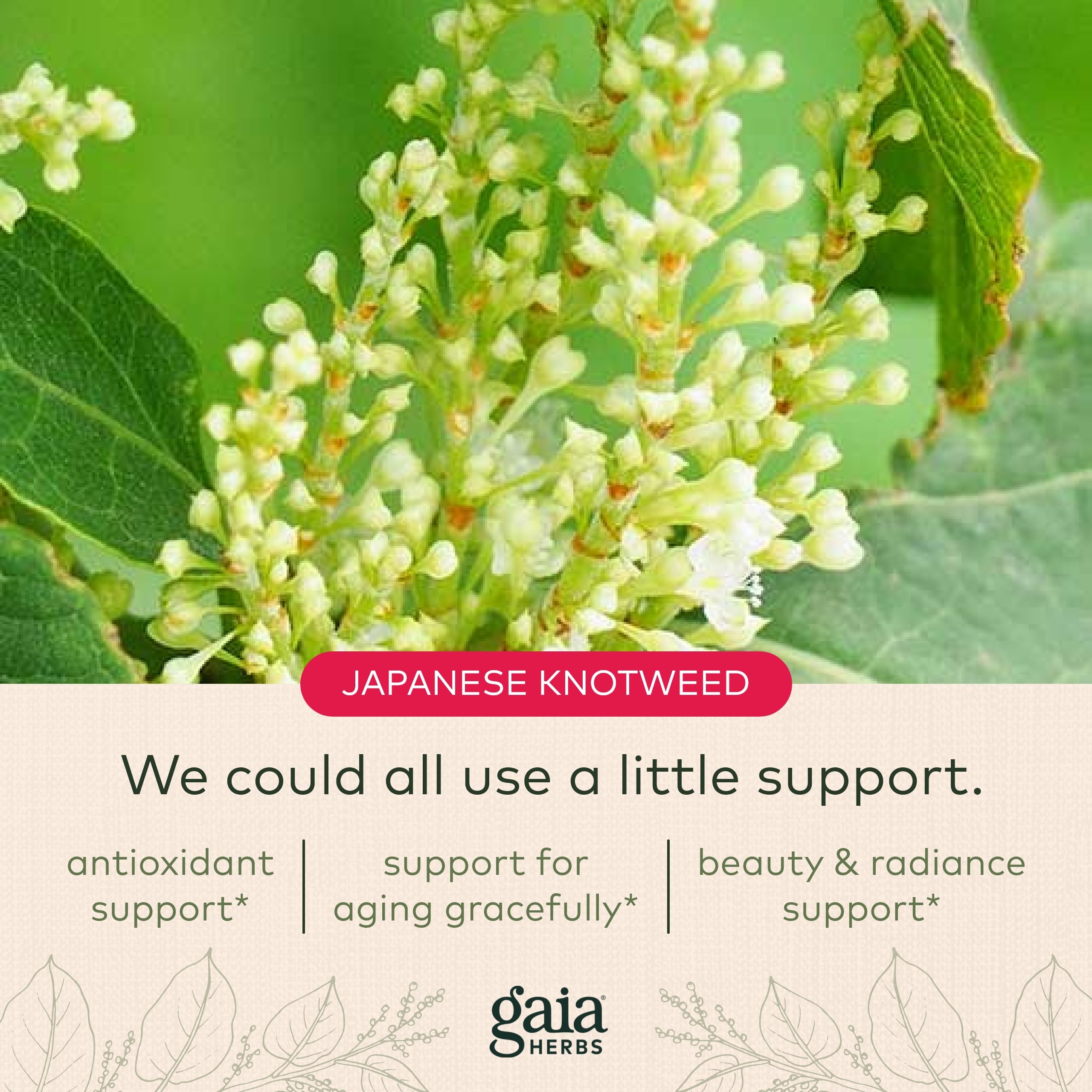 Foto 6 pulgar | Suplemento Gaia Herbs Resveratrol 150 Beauty & Radiance - Venta Internacional.