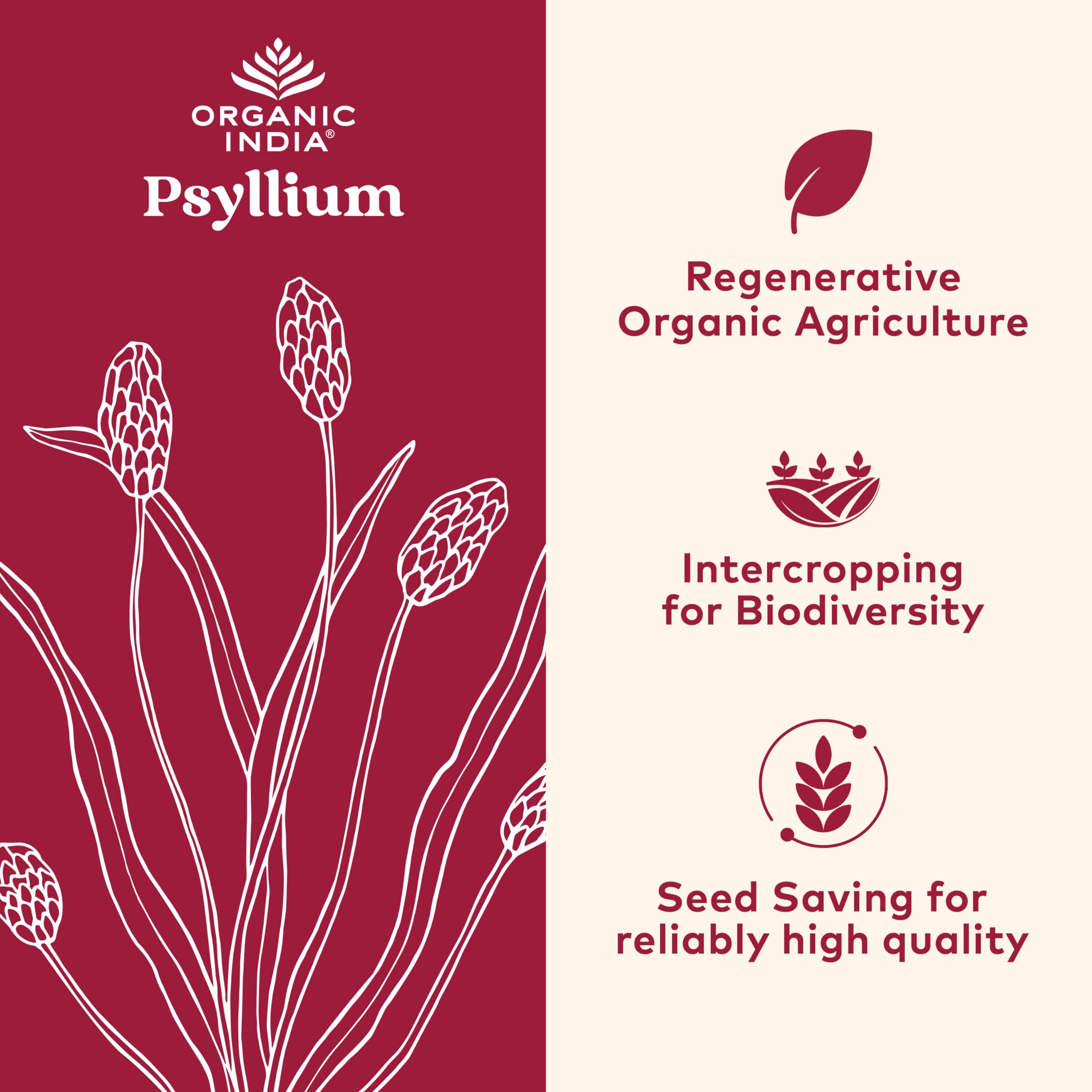 Foto 3 pulgar | Suplemento Organic India Psyllium Herbal Powder 355 Ml - Venta Internacional.