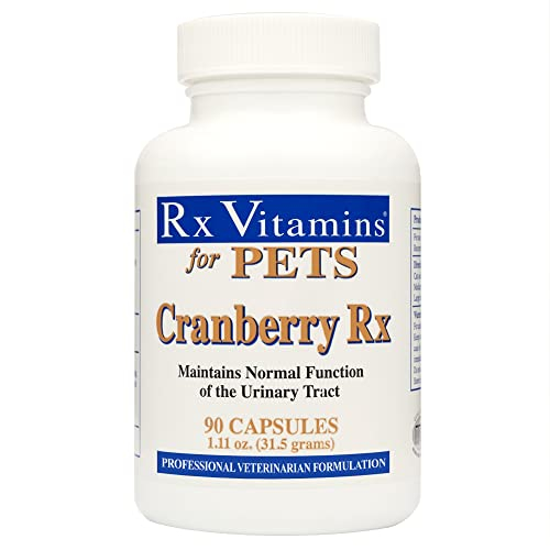 Foto 2 pulgar | Suplemento Rx Vitamins En Pastillas De Arándano Para Perros Y Gatos 90 Ca - Venta Internacional.