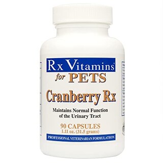 Foto 1 | Suplemento Rx Vitamins En Pastillas De Arándano Para Perros Y Gatos 90 Ca - Venta Internacional.