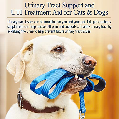Foto 2 | Suplemento Rx Vitamins En Pastillas De Arándano Para Perros Y Gatos 90 Ca - Venta Internacional.
