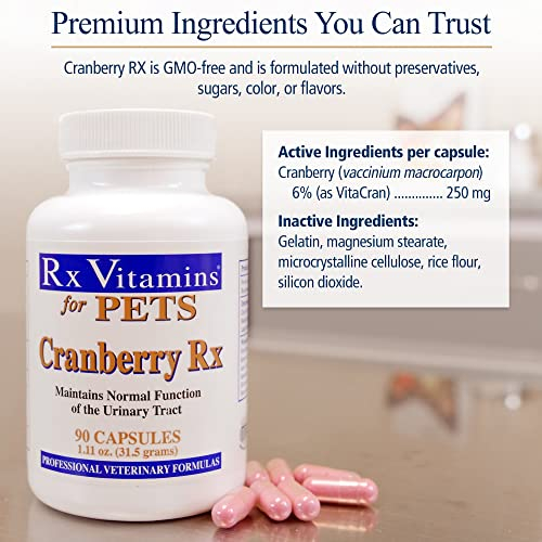 Foto 6 pulgar | Suplemento Rx Vitamins En Pastillas De Arándano Para Perros Y Gatos 90 Ca - Venta Internacional.
