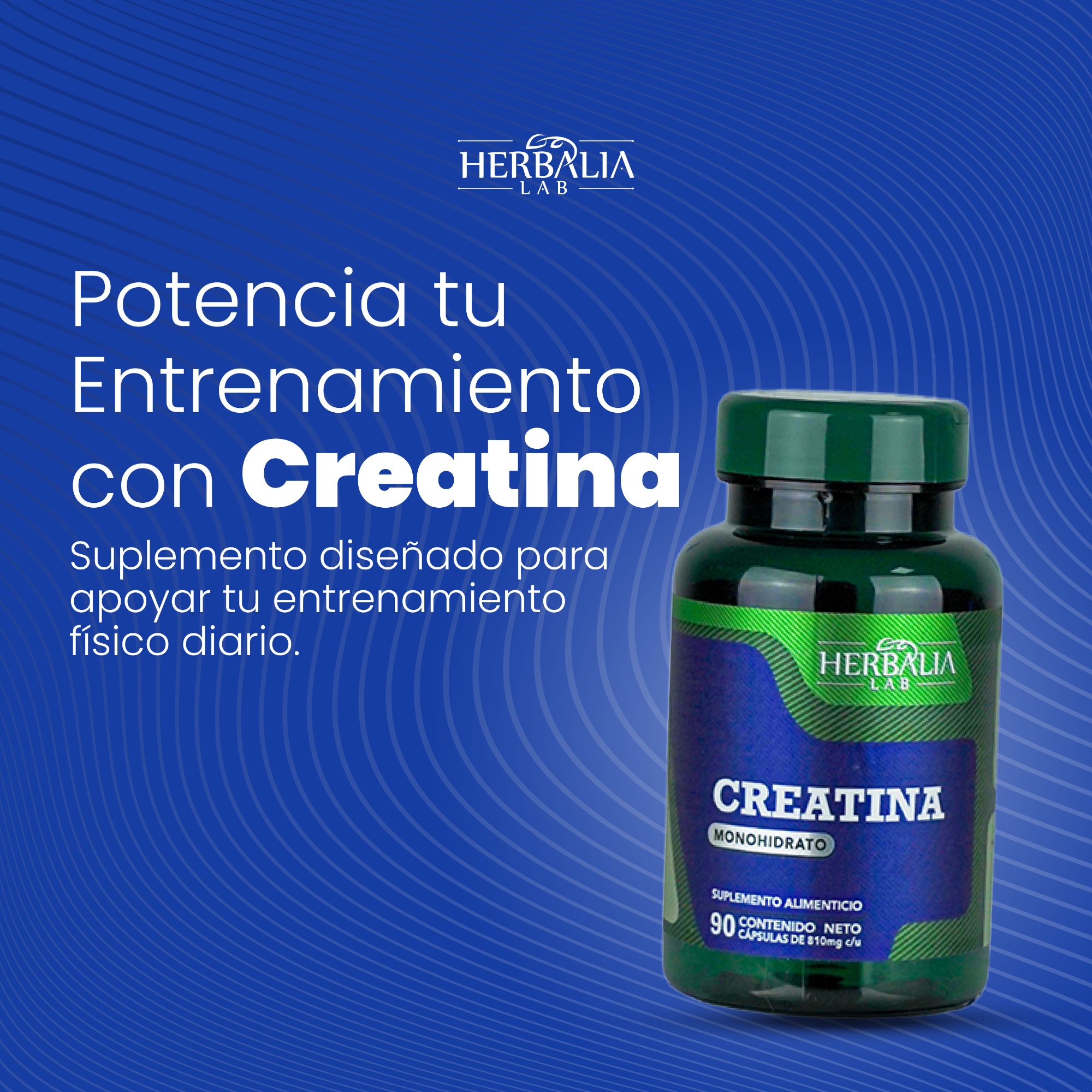 Foto 5 | Herbalia Lab Creatina Monohidratada En Cápsulas | Suplemento Para Rendimiento Deportivo Y Fuerza - 90 Cápsulas