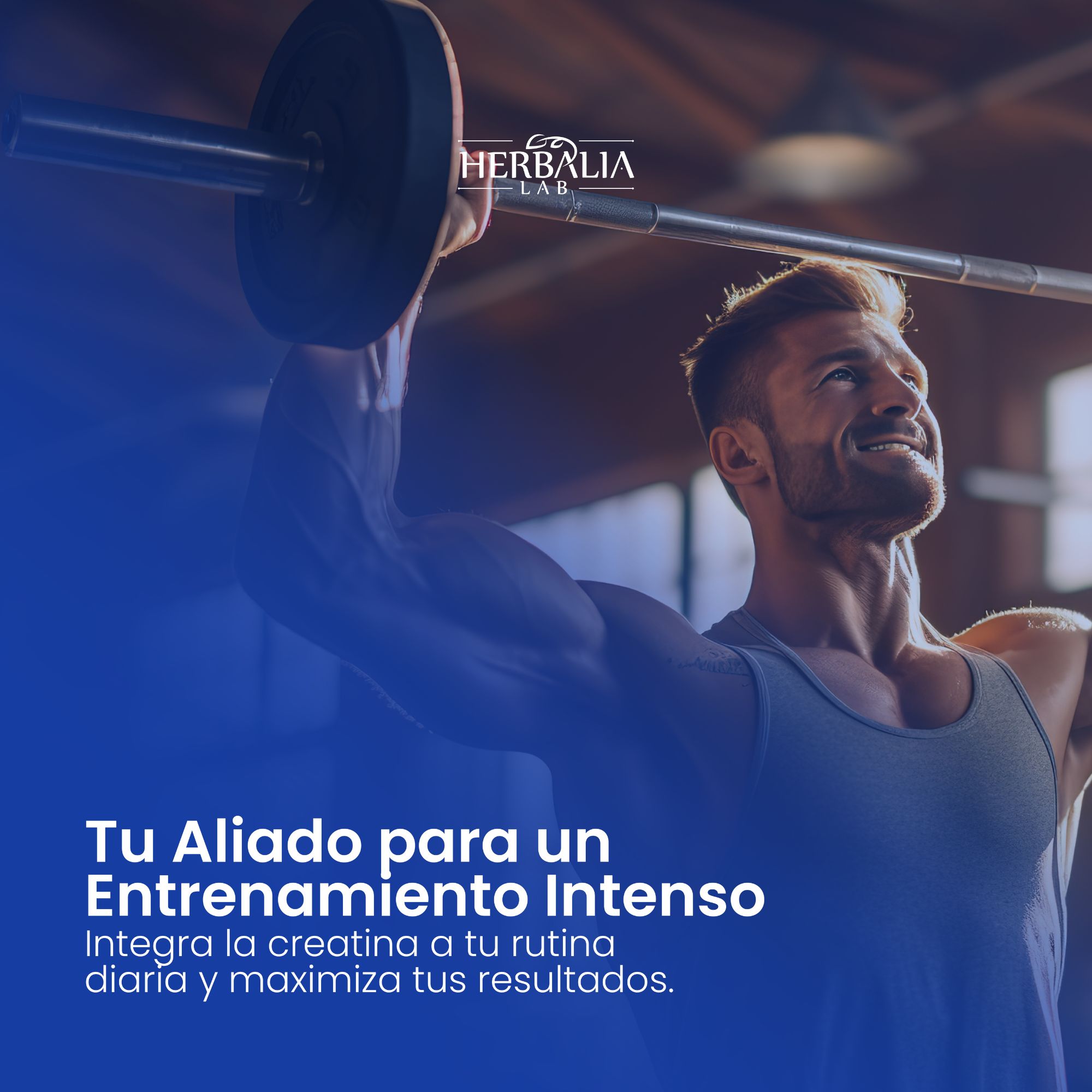 Foto 6 | Herbalia Lab Creatina Monohidratada En Cápsulas | Suplemento Para Rendimiento Deportivo Y Fuerza - 90 Cápsulas