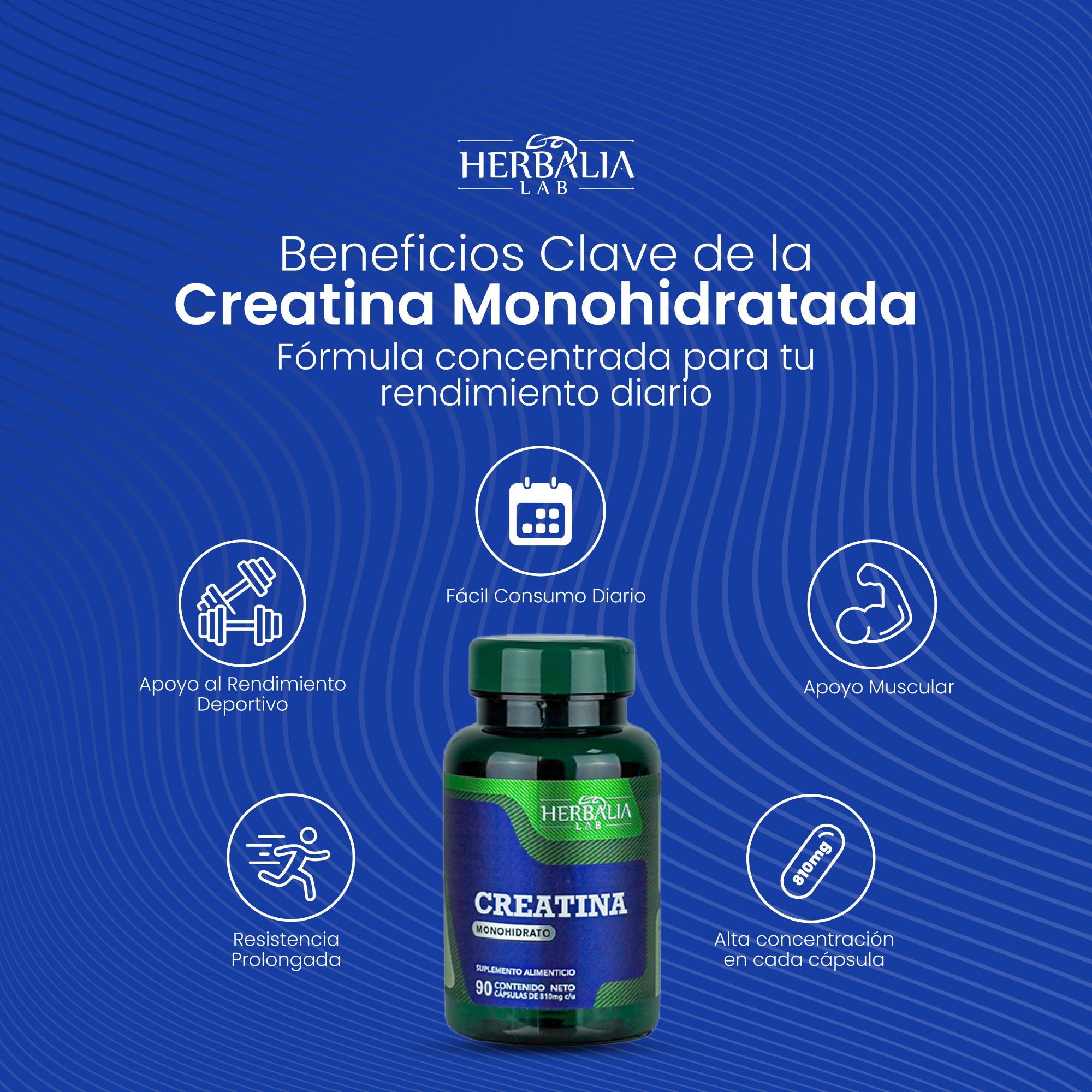 Foto 7 | Herbalia Lab Creatina Monohidratada En Cápsulas | Suplemento Para Rendimiento Deportivo Y Fuerza - 90 Cápsulas