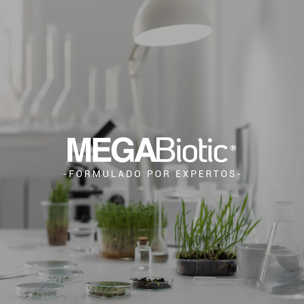 Foto 7 | Megabiotic 15 Cepas 30 Billones Probióticos 60 Cápsulas