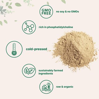 Foto 3 | Microingredientes Orgánicos De Lecitina De Girasol En Polvo, 454 G - Venta Internacional.