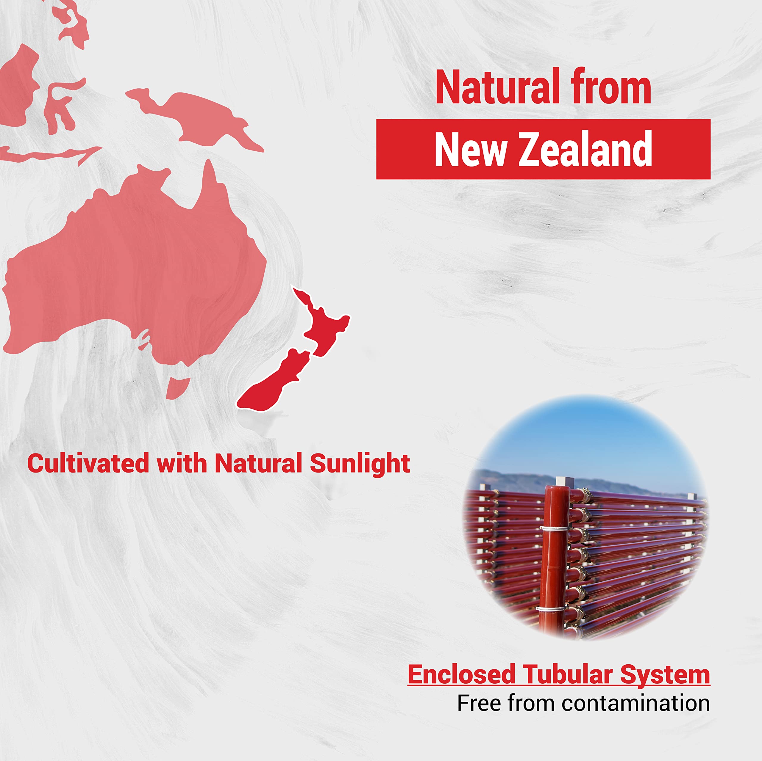 Foto 5 | Supplement Naturalis New Zealand Astaxantina 12 Mg 60 Cápsulas Blandas - Venta Internacional.