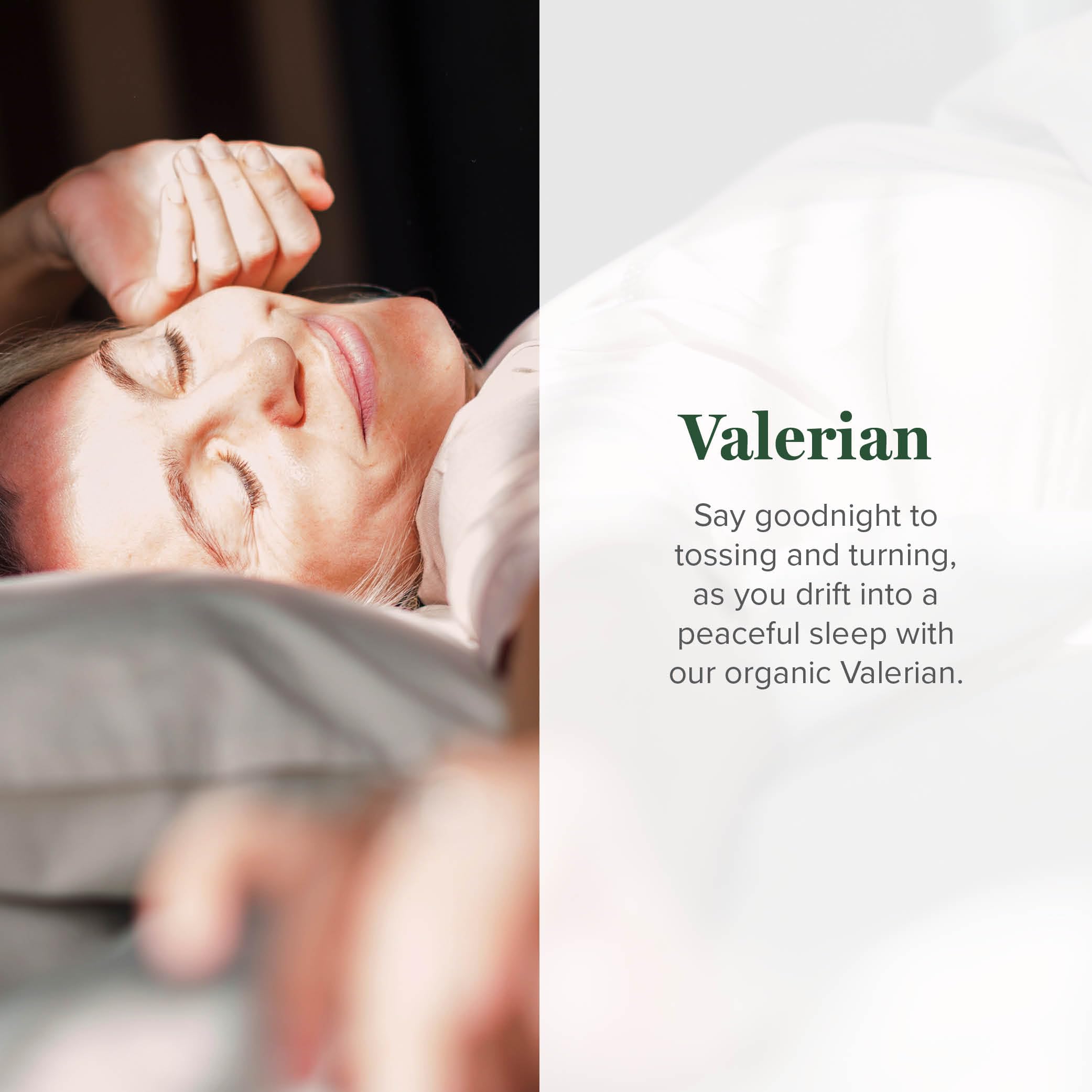 Foto 3 | Suplemento Global Healing: Extracto De Raíz De Valeriana, 60 Ml - Venta Internacional.