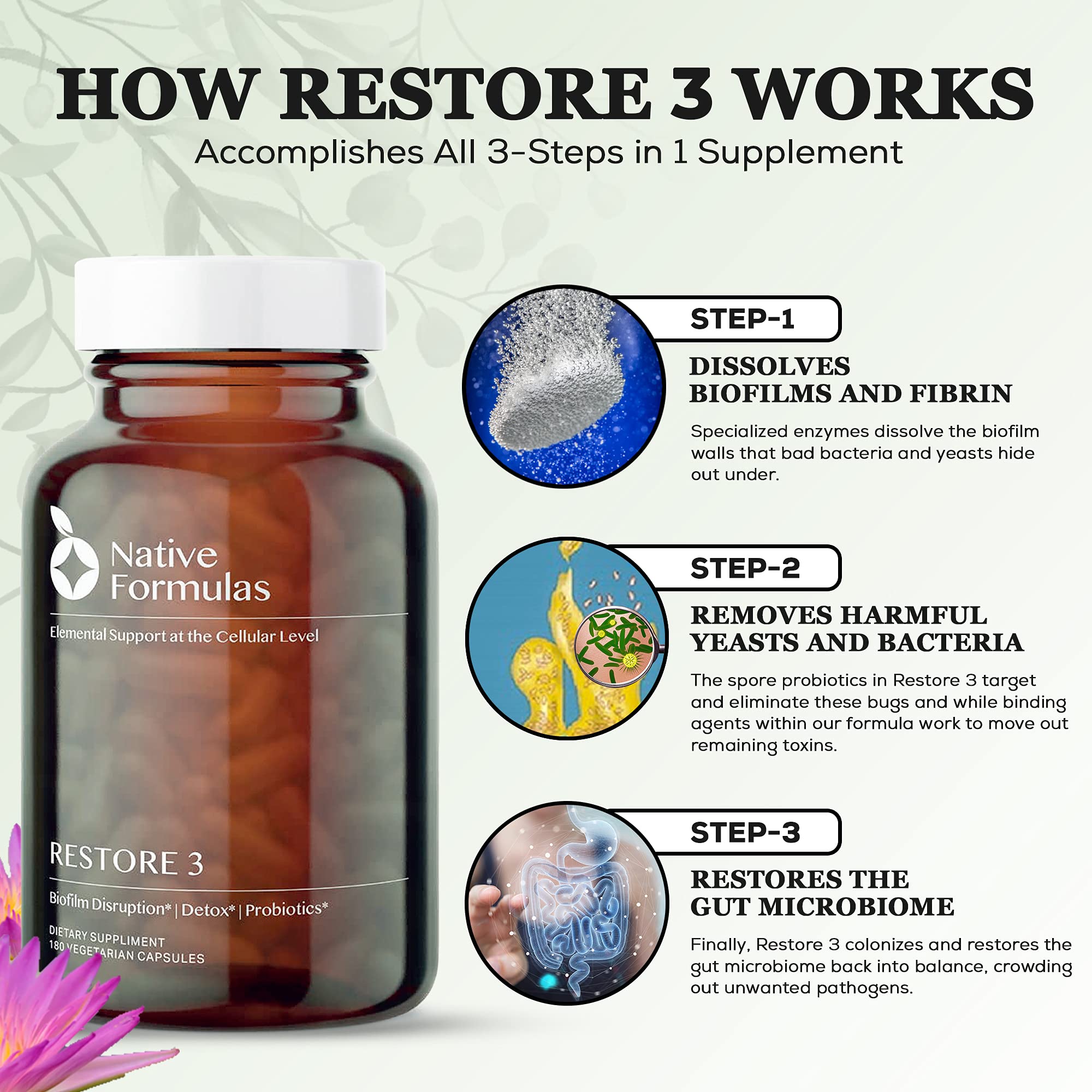 Foto 4 pulgar | Suplemento Native Formulas Restore 3 Proteolitic Enzyme & Sp - Venta Internacional.
