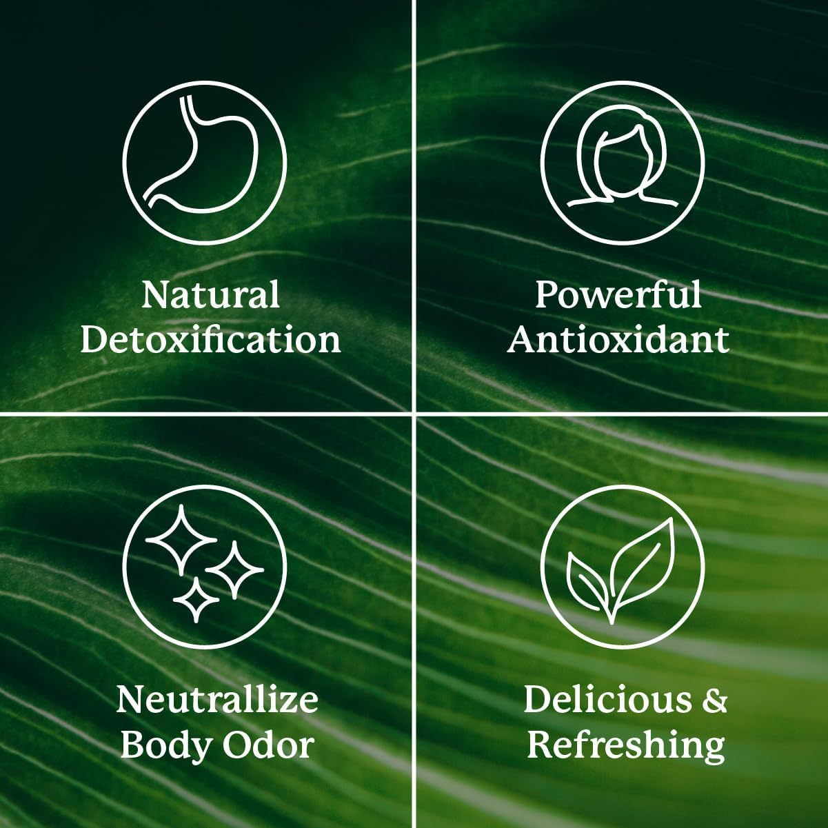 Foto 4 | Paquetes De Clorofila En Barra Nature's Sunshine Supercharge Detox - Venta Internacional.
