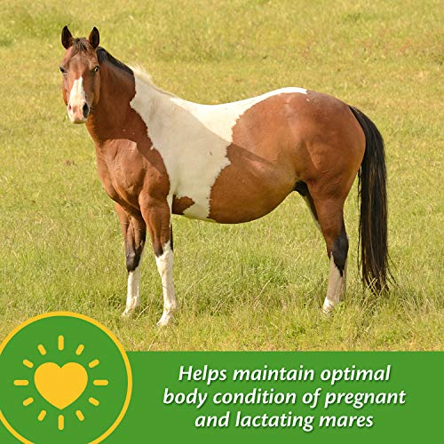 Foto 3 pulgar | Suplemento Farnam Mare Plus Para Gestación Y Lactancia, 2,27 Kg - Venta Internacional.