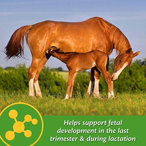 Foto 5 pulgar | Suplemento Farnam Mare Plus Para Gestación Y Lactancia, 2,27 Kg - Venta Internacional.