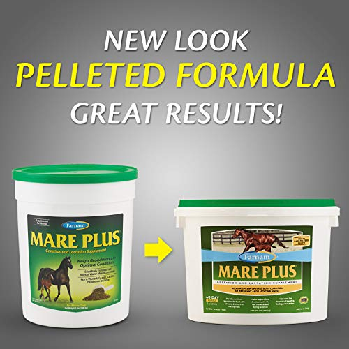 Foto 7 pulgar | Suplemento Farnam Mare Plus Para Gestación Y Lactancia, 2,27 Kg - Venta Internacional.