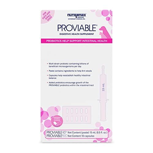 Foto 2 pulgar | Kit De Suplementos Para La Salud Digestiva Nutramax Proviable 15 Ml - Venta Internacional.