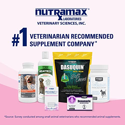 Foto 8 pulgar | Kit De Suplementos Para La Salud Digestiva Nutramax Proviable 15 Ml - Venta Internacional.