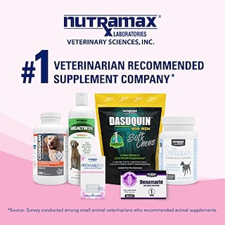 Foto 7 | Kit De Suplementos Para La Salud Digestiva Nutramax Proviable 15 Ml - Venta Internacional.
