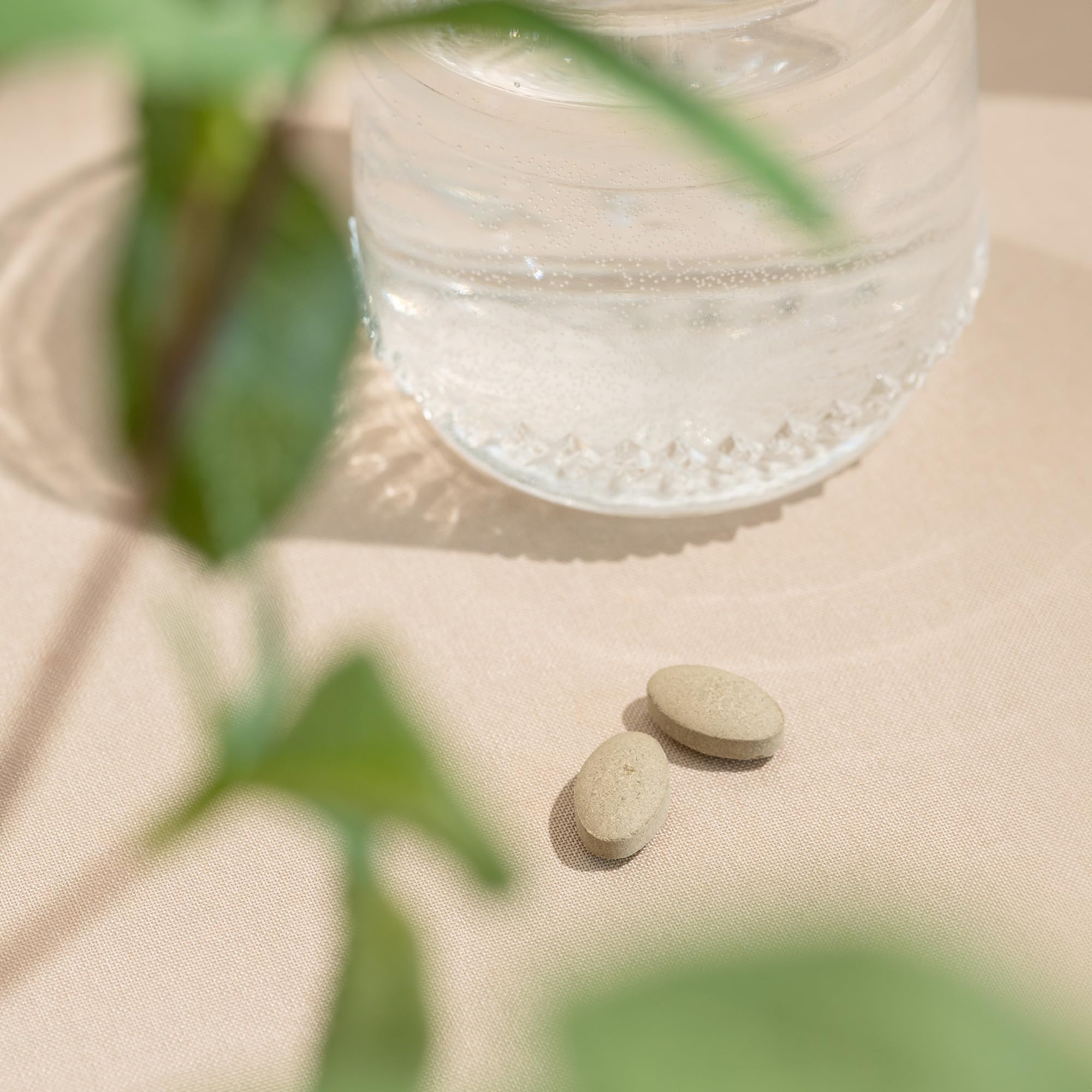 Foto 4 | Suplemento Banyan Botanicals Tranquil Mind 90 Comprimidos - Venta Internacional.