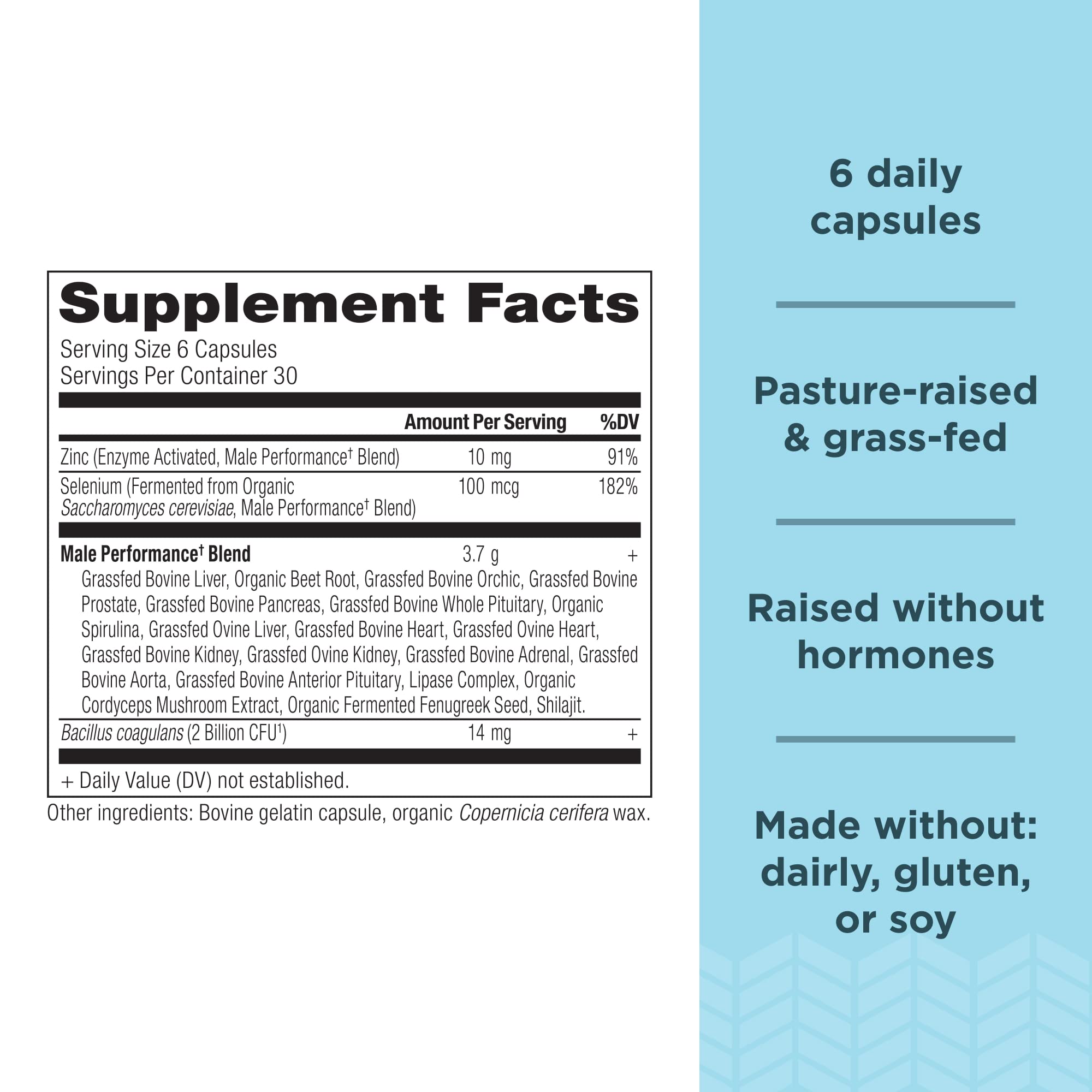 Foto 3 pulgar | Suplemento Ancient Nutrition Organ Complex Para Hombres, 180 Unidades - Venta Internacional.