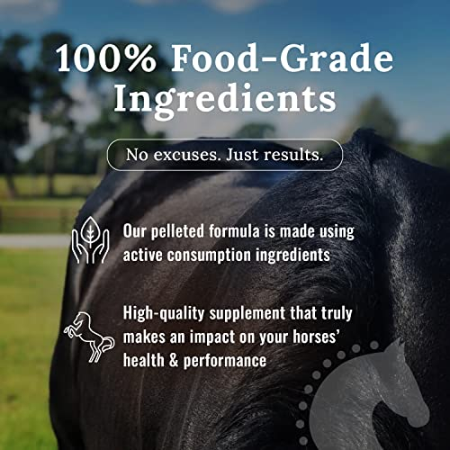 Foto 4 | Suplemento Mojo Joint, Apto Para Uso Alimentario Para Caballos, Granulado, 9,07 Kg - Venta Internacional.