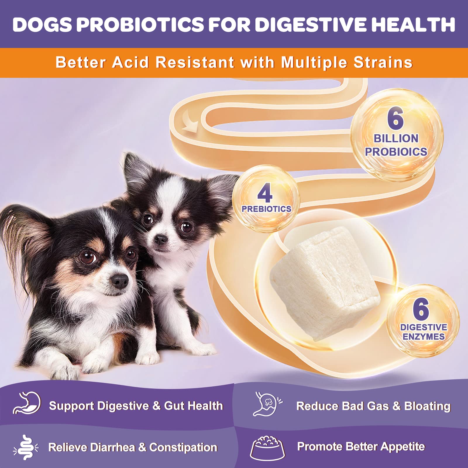 Foto 4 pulgar | Probióticos Para Perros Nature Target: 6 Mil Millones De Cfu Con Omega 3 - Venta Internacional.