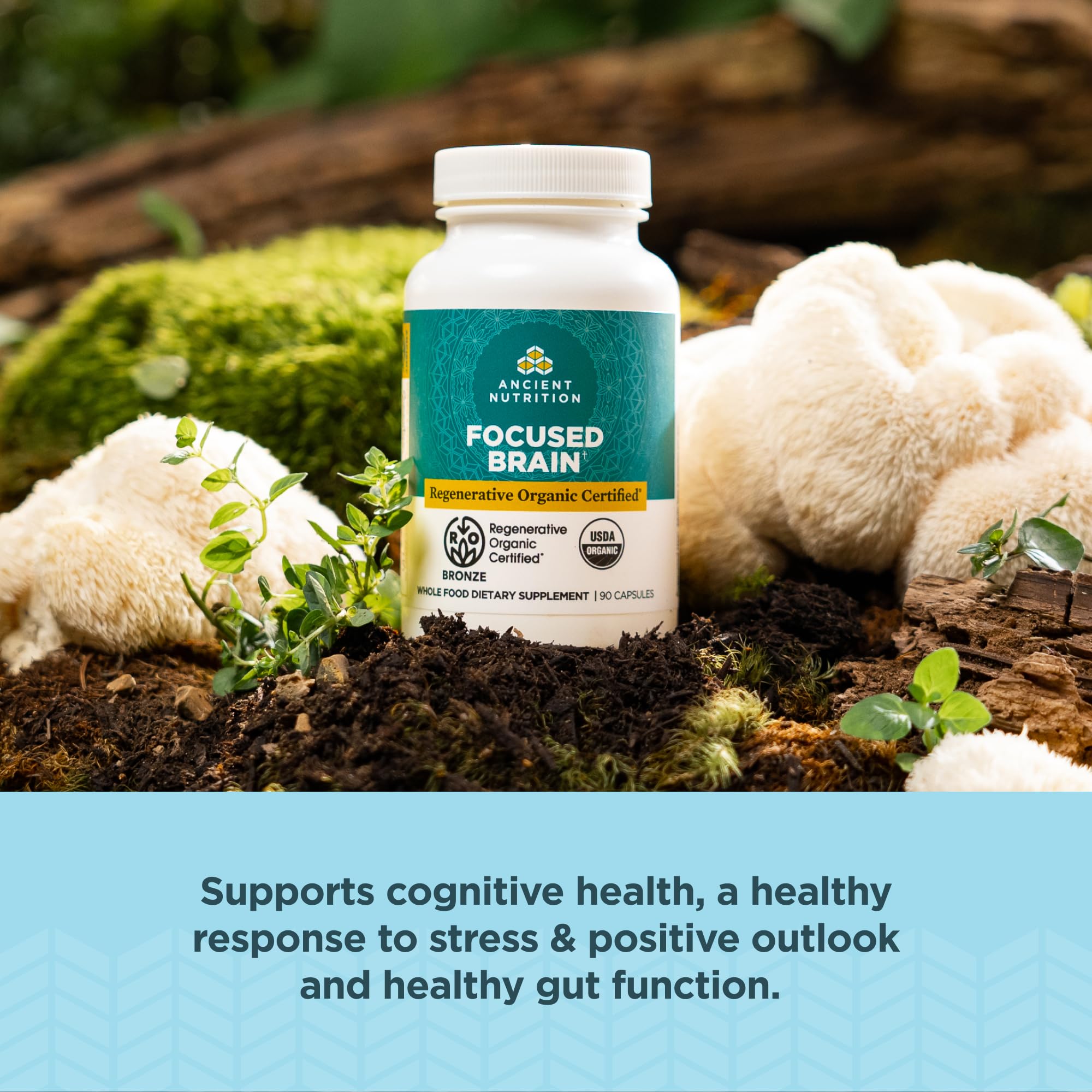 Foto 4 pulgar | Suplemento Ancient Nutrition Focused Brain 90 Cápsulas - Venta Internacional.