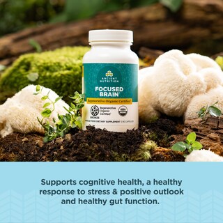 Foto 3 | Suplemento Ancient Nutrition Focused Brain 90 Cápsulas - Venta Internacional.