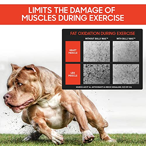 Foto 4 | Suplemento Líquido Bully Max Para La Construcción Muscular 3 En 1 Para Perros - Venta Internacional.