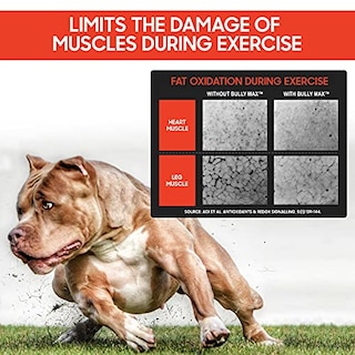 Foto 4 | Suplemento Líquido Bully Max Para La Construcción Muscular 3 En 1 Para Perros - Venta Internacional.