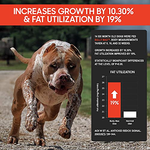 Foto 6 pulgar | Suplemento Líquido Bully Max Para La Construcción Muscular 3 En 1 Para Perros - Venta Internacional.