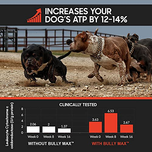 Foto 7 pulgar | Suplemento Líquido Bully Max Para La Construcción Muscular 3 En 1 Para Perros - Venta Internacional.