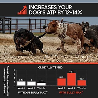 Foto 6 | Suplemento Líquido Bully Max Para La Construcción Muscular 3 En 1 Para Perros - Venta Internacional.