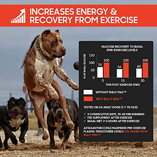 Foto 8 pulgar | Suplemento Líquido Bully Max Para La Construcción Muscular 3 En 1 Para Perros - Venta Internacional.